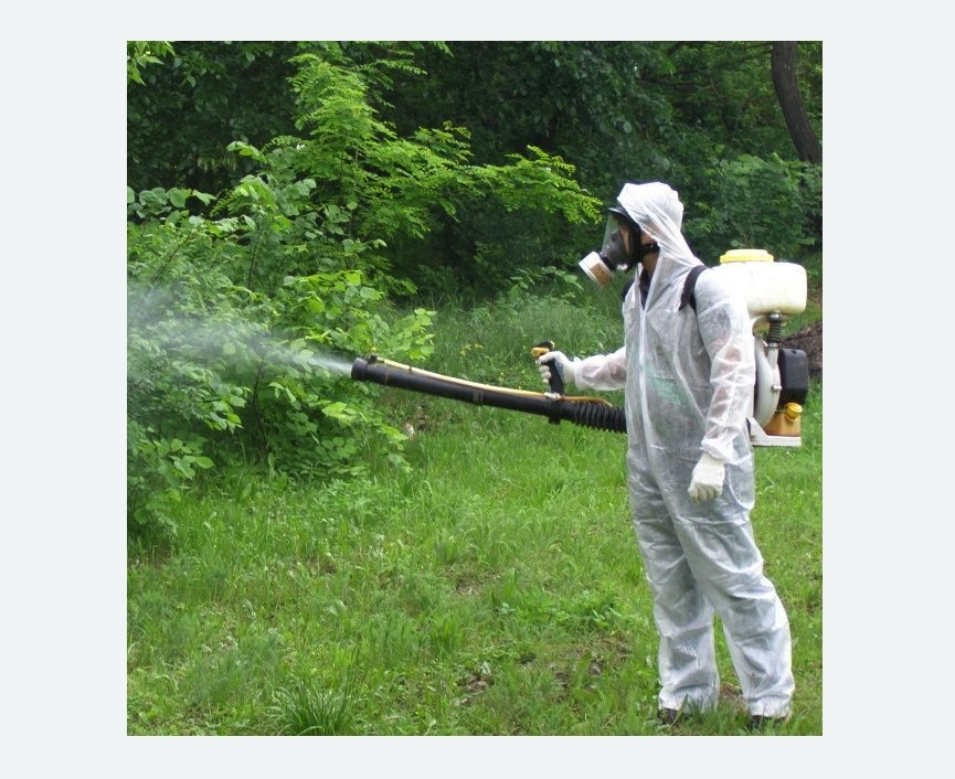обработка территории от клещей в Зеленогорске