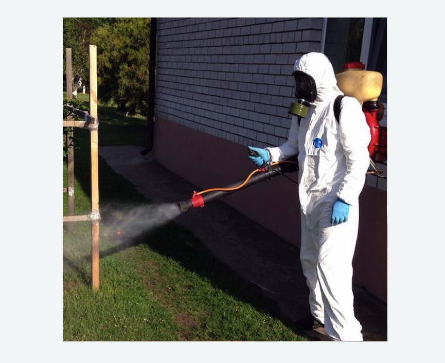 травля клещей на участке в Зеленогорске