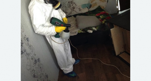 Обработка квартир от насекомых в Зеленогорске