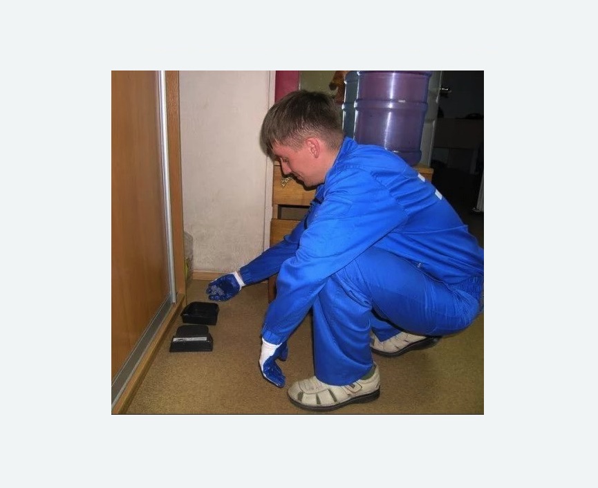 Дератизация крыс в Зеленогорске