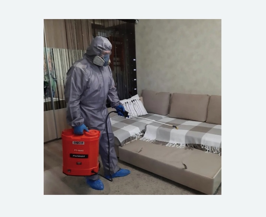 Обработка квартиры от блох в Зеленогорске Обработка квартиры от блох