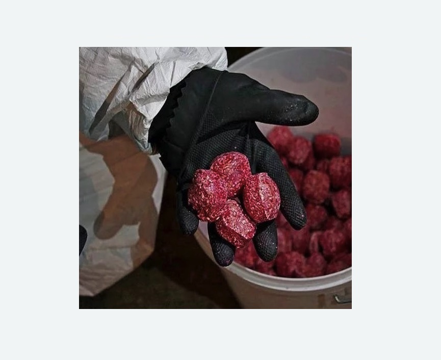 Обработка от крыс в Зеленогорске