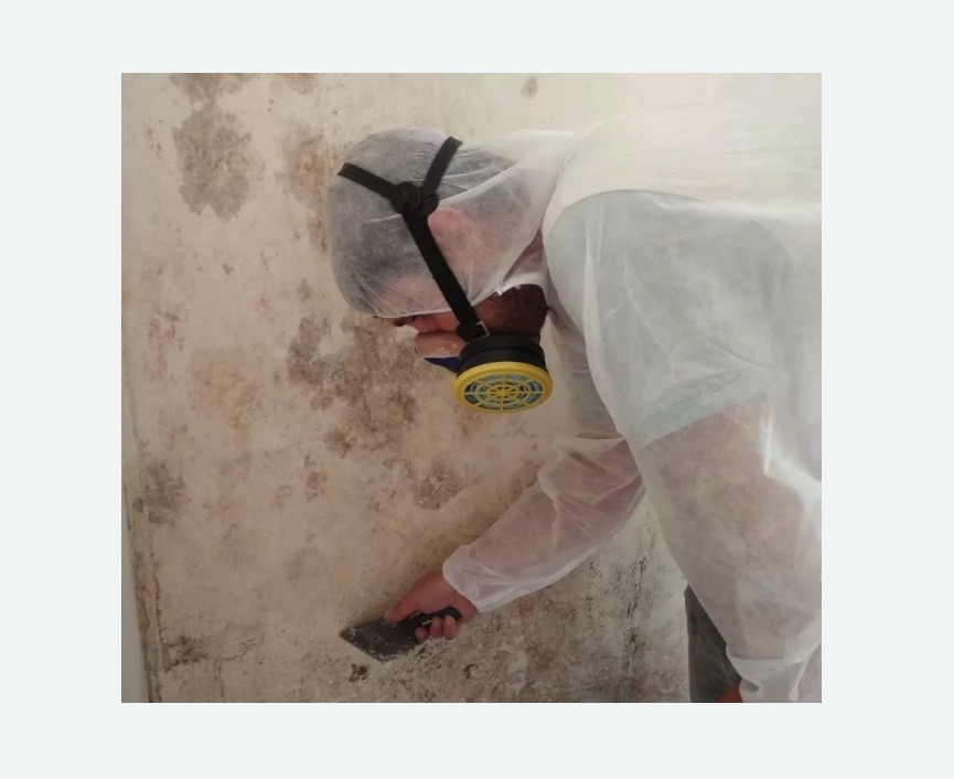 Обработка стен от плесени в Зеленогорске