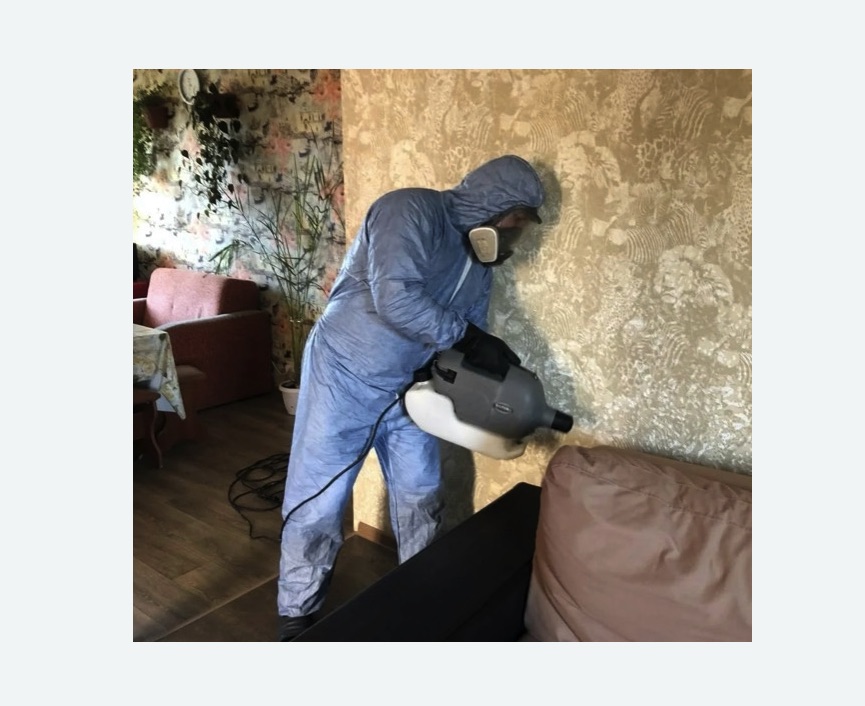 Уничтожение блох в квартире. Зеленогорск Уничтожение блох в квартире