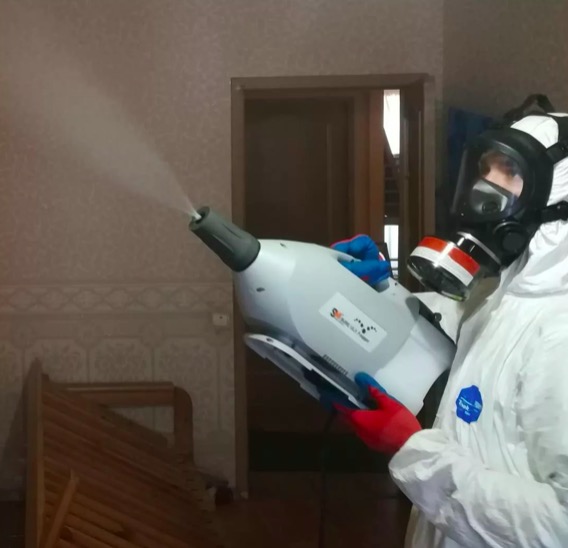 дезинсекция помещения в Зеленогорске