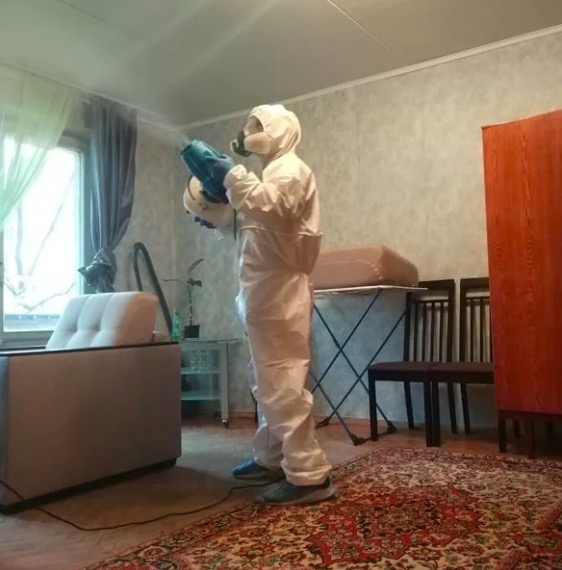 дезинсекция квартиры в Зеленогорске