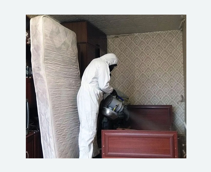 дезинфекция от клопов в Зеленогорске