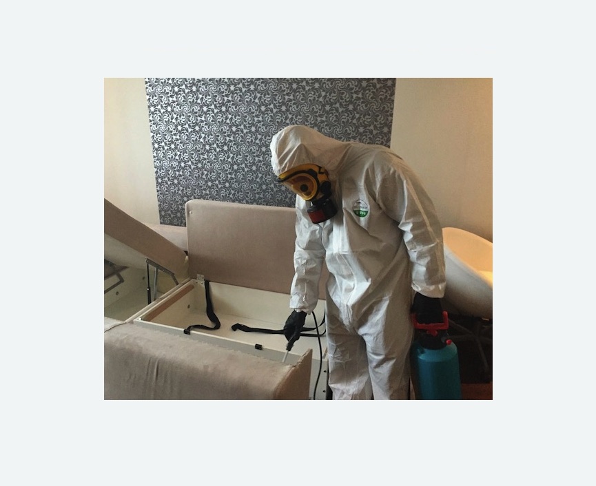 уничтожение клопов в квартире в Зеленогорске