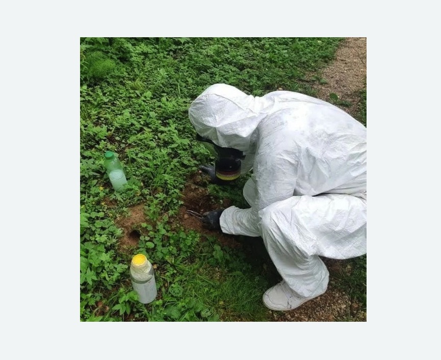 уничтожение кротов на участке в Зеленогорске