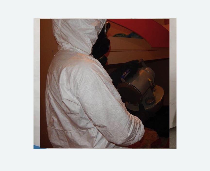 Дезинфекция от муравьев в Зеленогорске