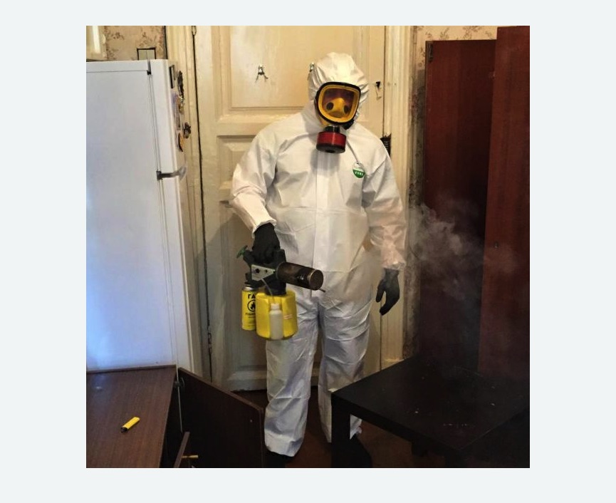 уничтожение муравьев в квартире в Зеленогорске